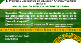 Socialización Pública Opción de Grado